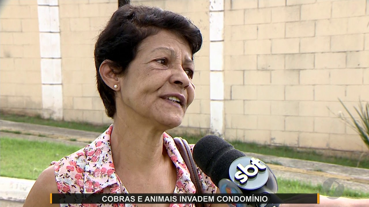 JMD (28/11/19) - Cobras invadem condomínio em Goiânia
