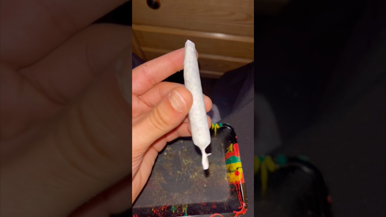 How to roll a grabba spliff....