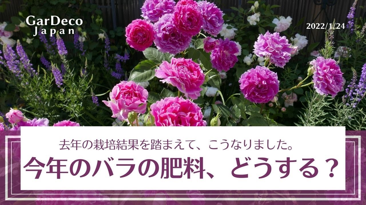 今年のバラの肥料、どうする？
