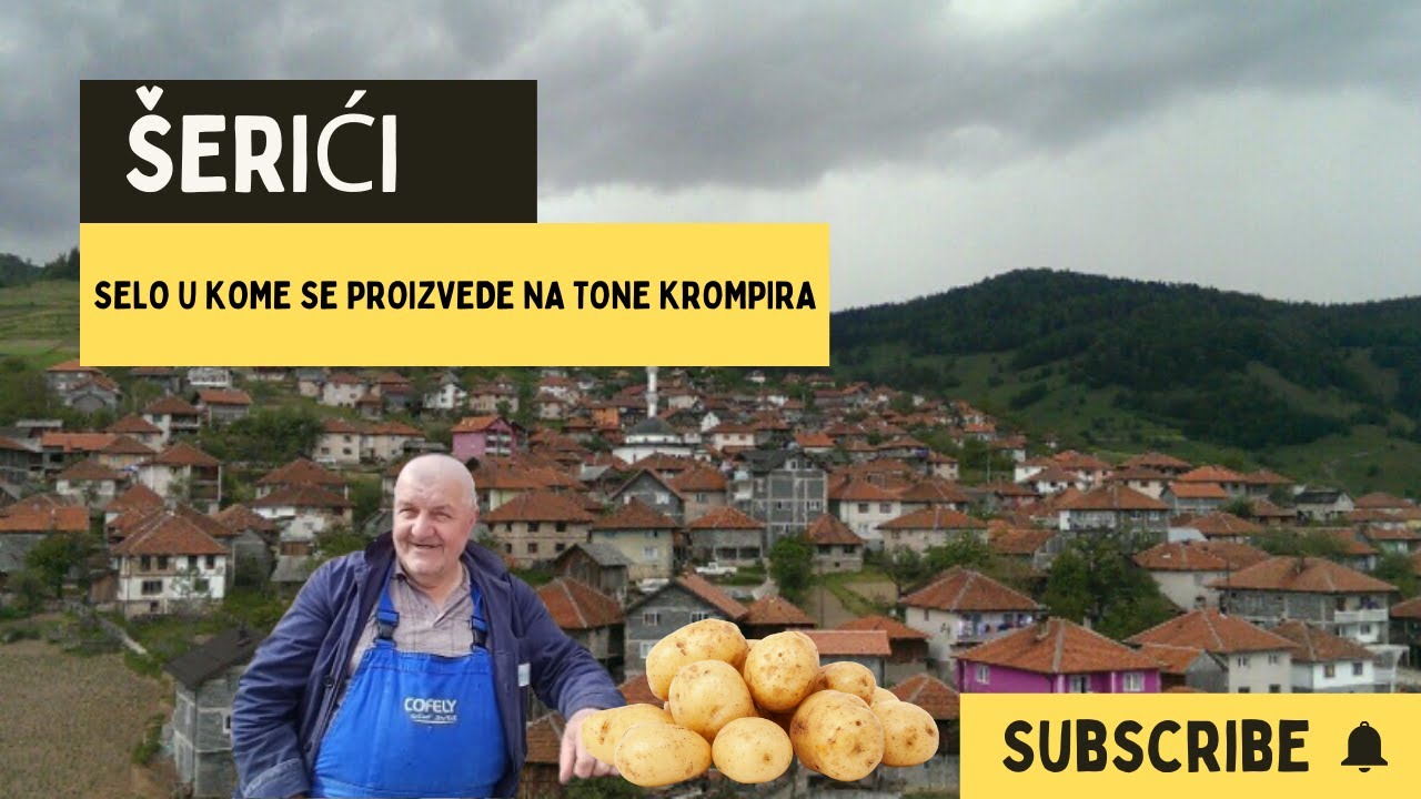 ŠERIĆI SELO U KOME SE PRIZVEDE NA TONE KROMPIRA