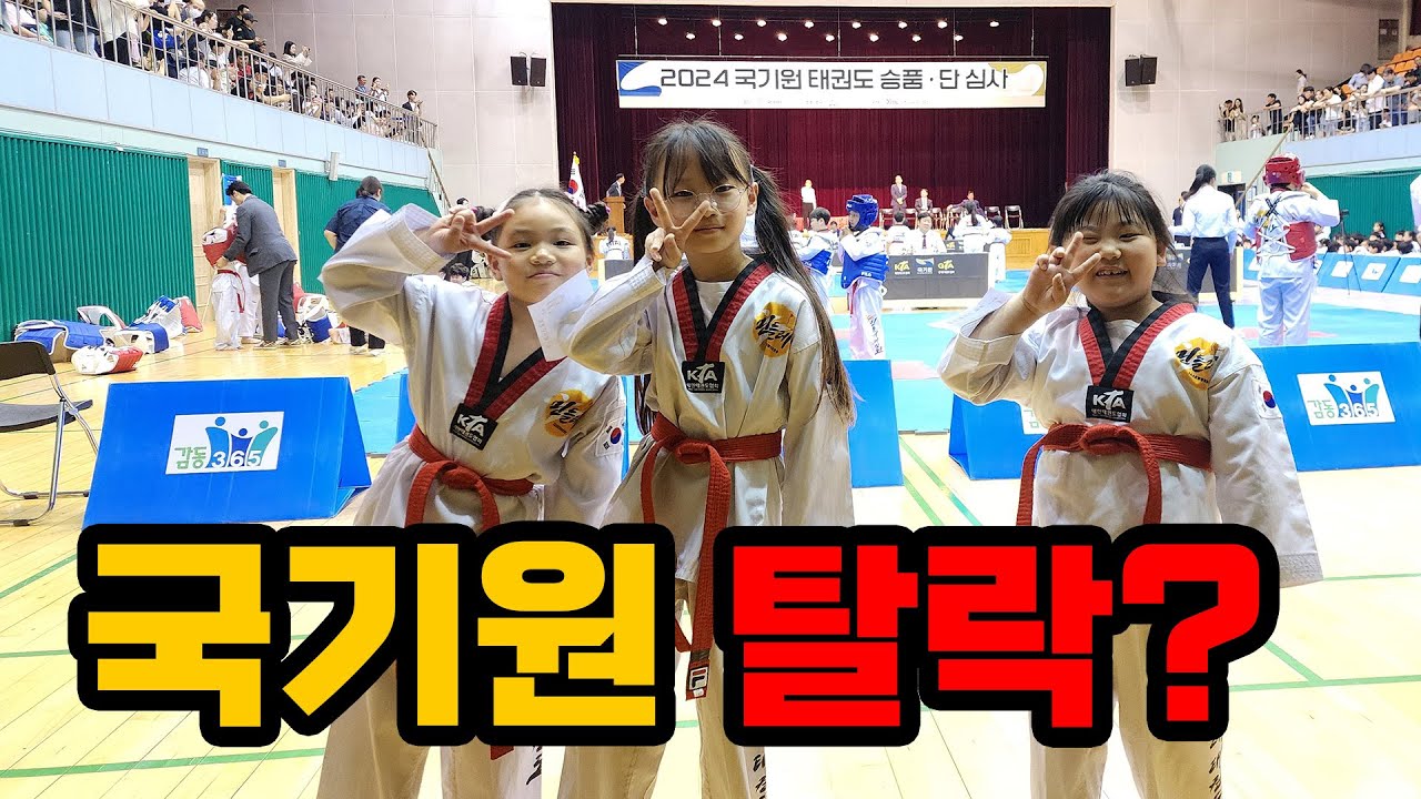 국기원 심사 탈락? 합격? (브이로그 Vlog) 과연 결과는😘