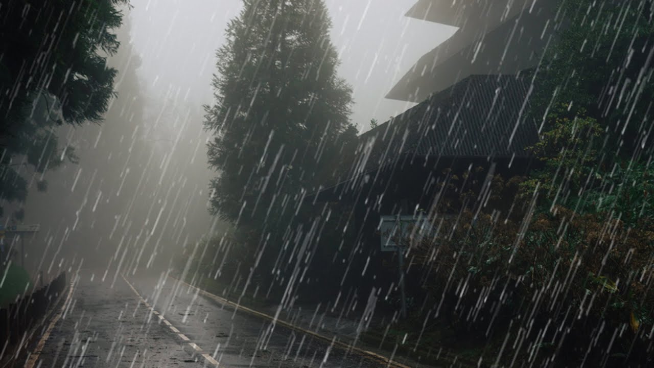 在 3 分钟内立即入睡 和  美丽的大雨和可怕的雷声 在风景如画的小路上，在夜间有雾的森林公园 - Rain sounds for sleeping