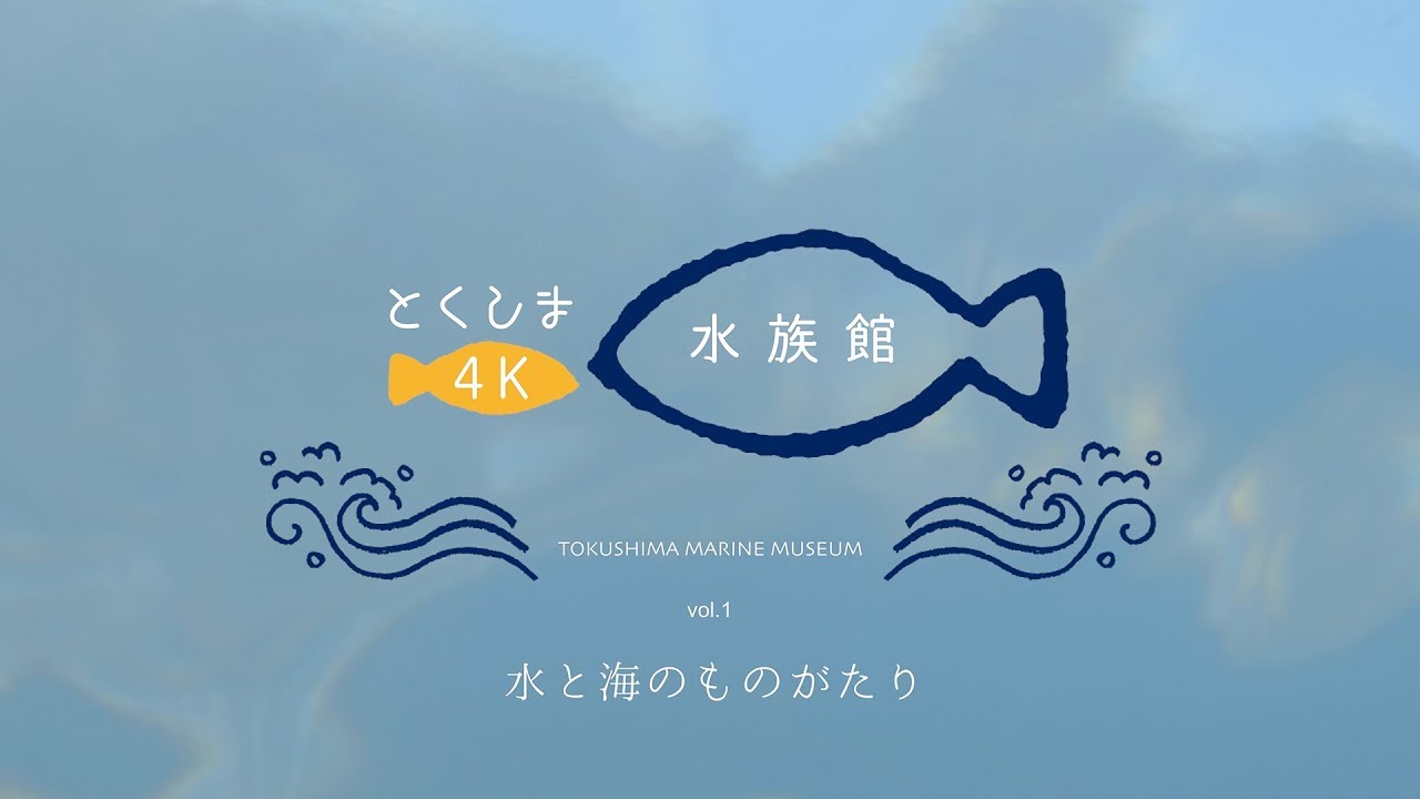 とくしま4K水族館『水と海のものがたり』 TokushimaMarineMuseumVol_01