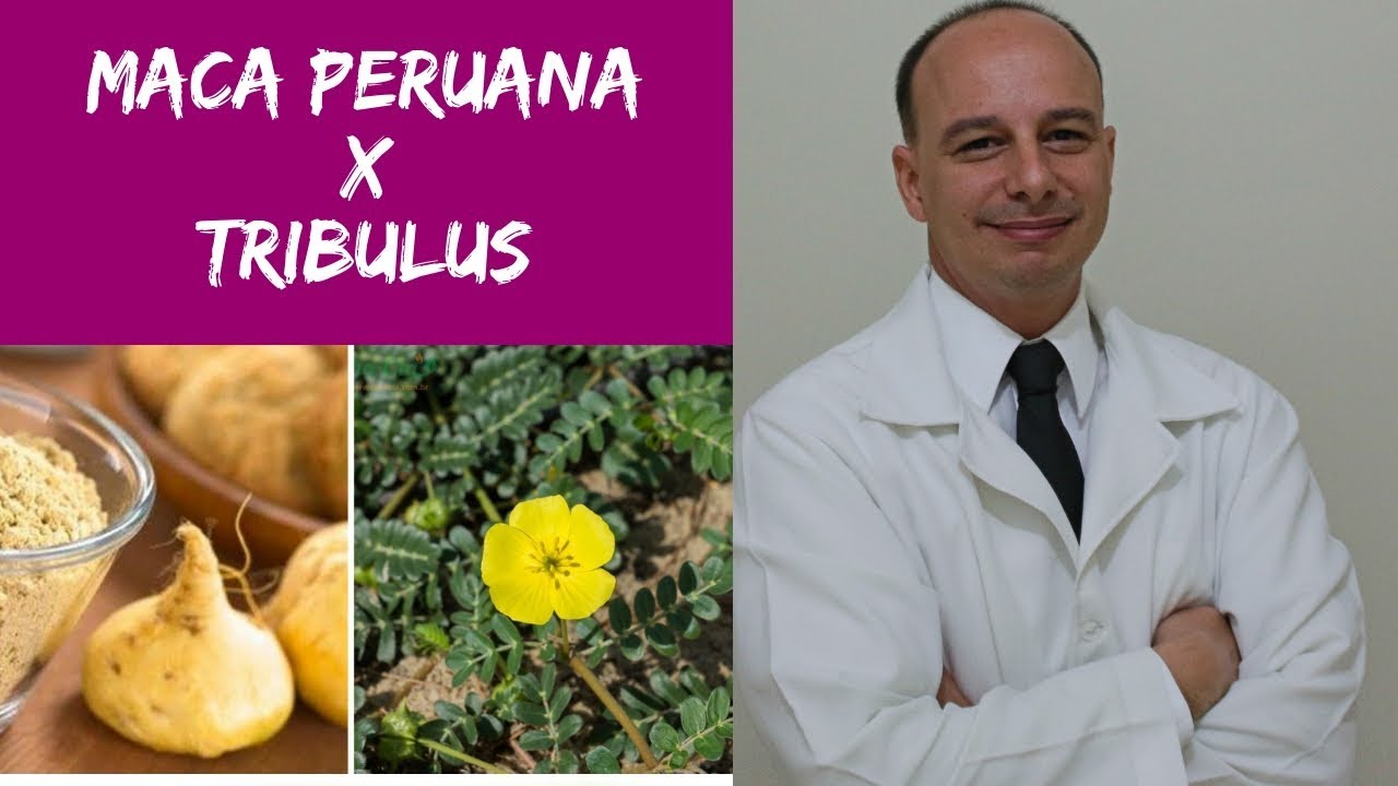 Tribulus Terrestrris ou Maca Peruana? || Dr. Moacir Rosa