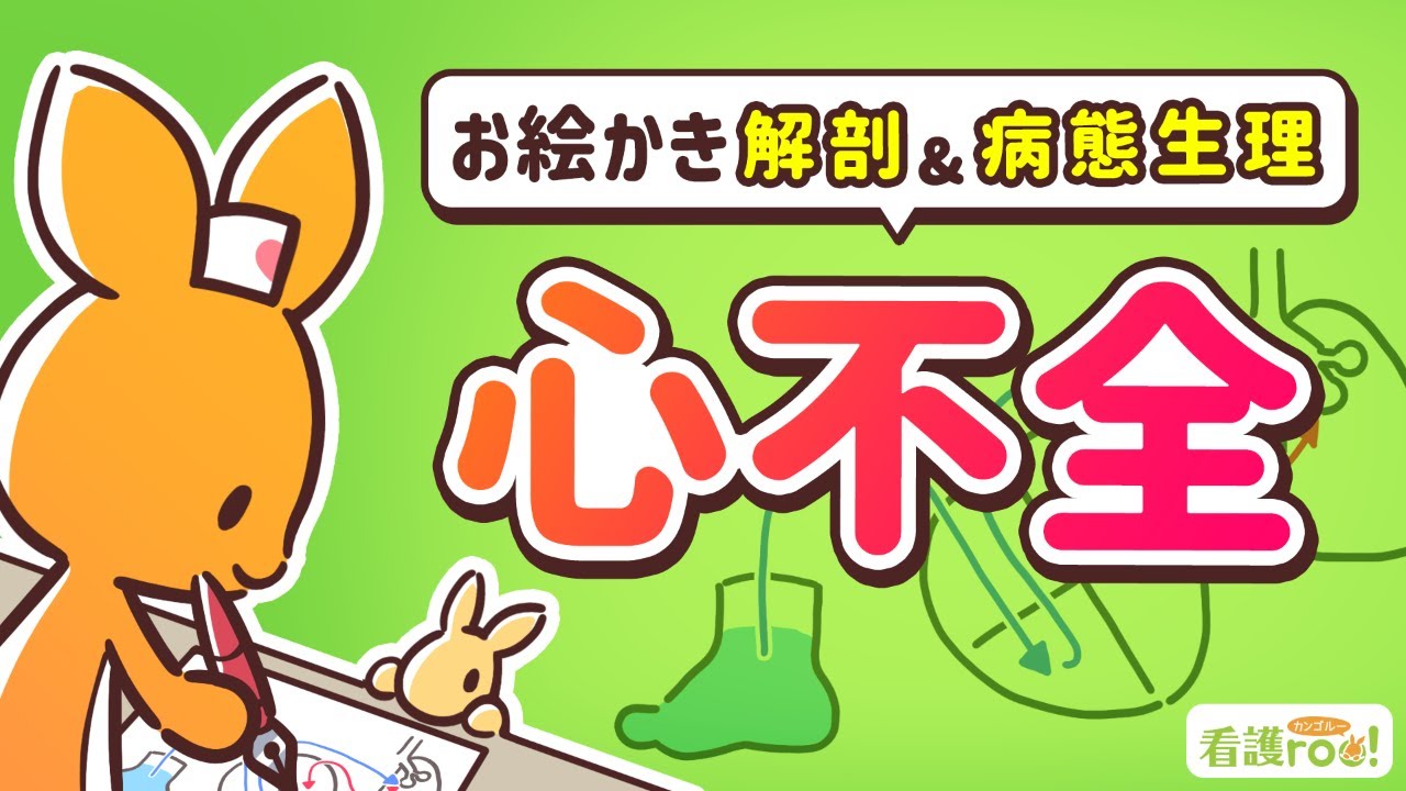 【循環器系】心不全｜お絵かき解剖＆病態生理