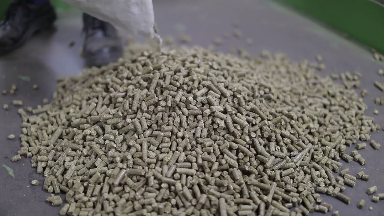 NTPC Biomass Co Firing  Setup