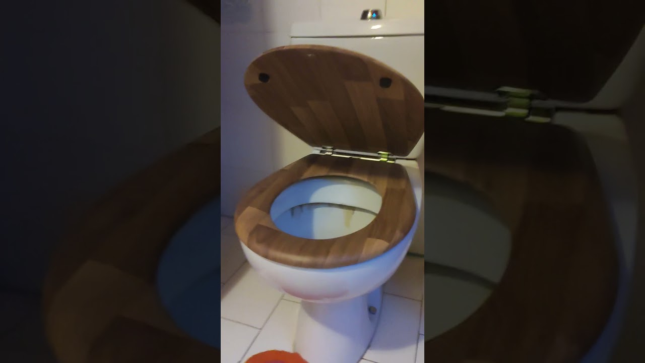 toilet