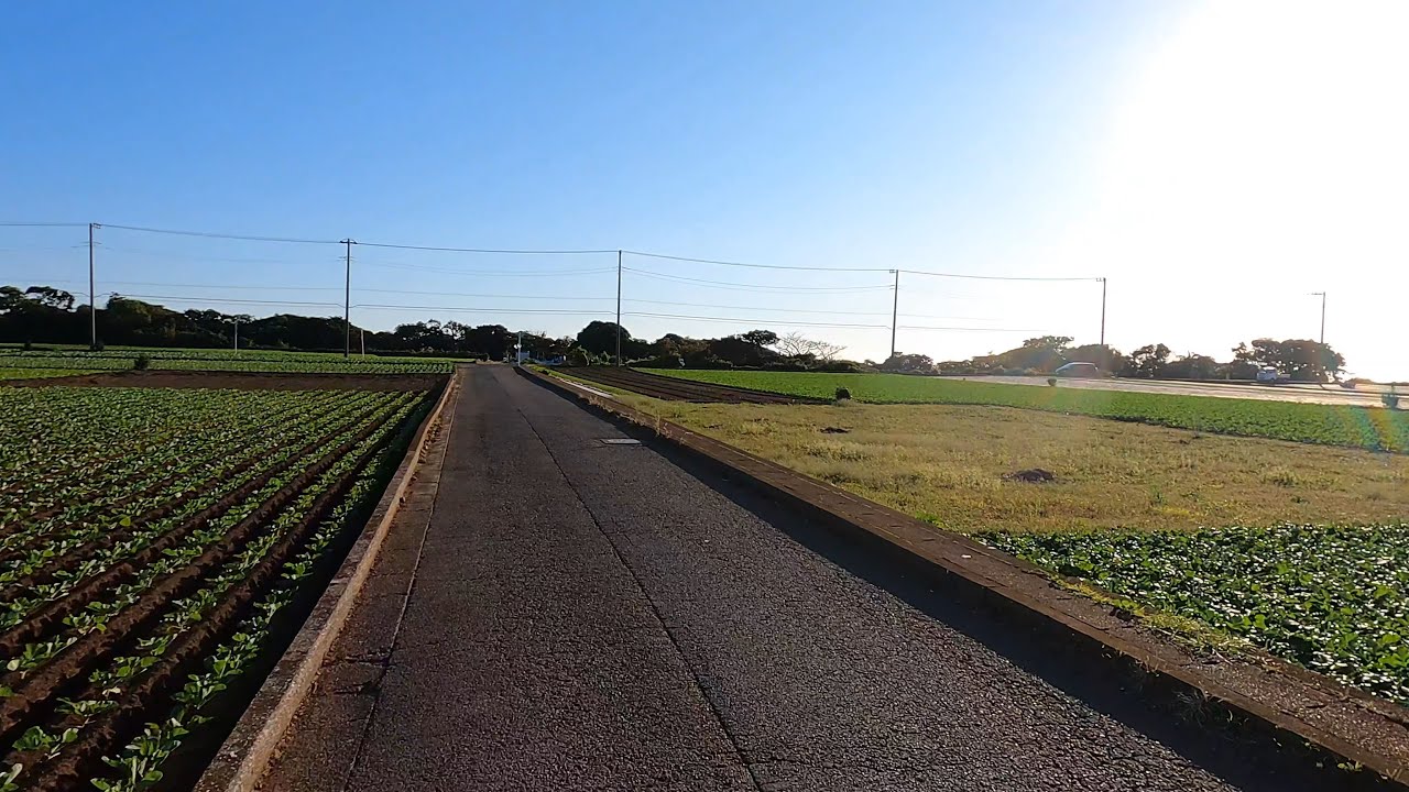 Beautiful rural scenery on the hills of the Miura Peninsula (at dusk) (Miura Peninsula highlight)