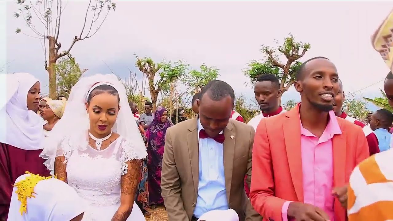 TOTO WEDS GALGE HIGHLIGHTS
