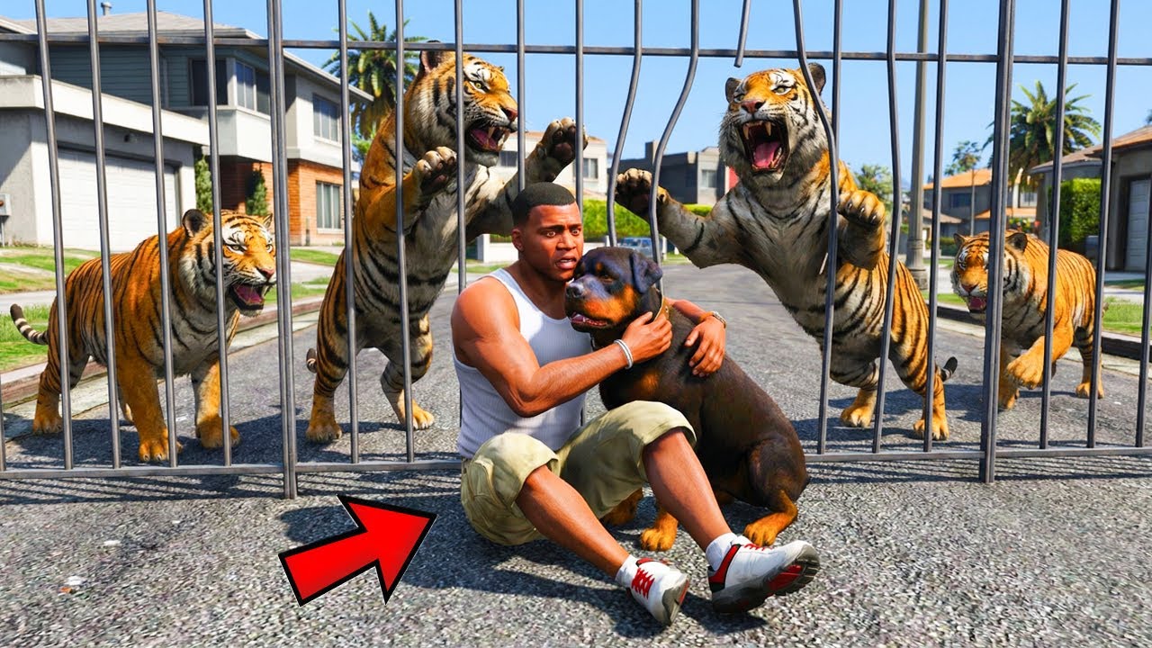 ЖОЛБАРЫСТАР ФРАНКЛИНГЕ ШАБУЫЛ ЖАСАДЫ (GTA V)