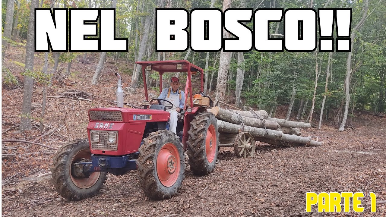 VI PORTO nel BOSCO | PARTE 1