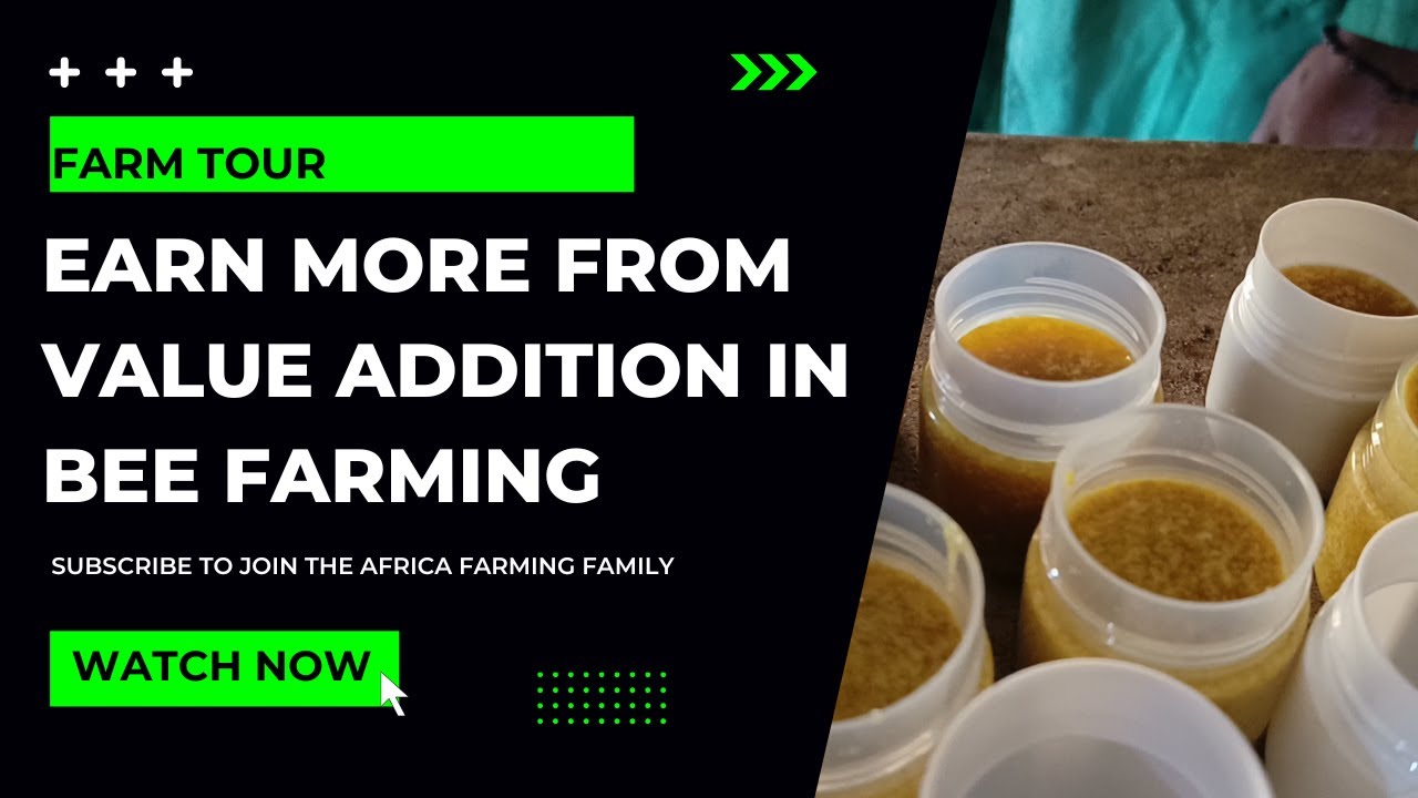 Value Addition in Bee Farming Explained | 6 By-Products  | Sanchez Bee Farm (Farm Tour ep 13)