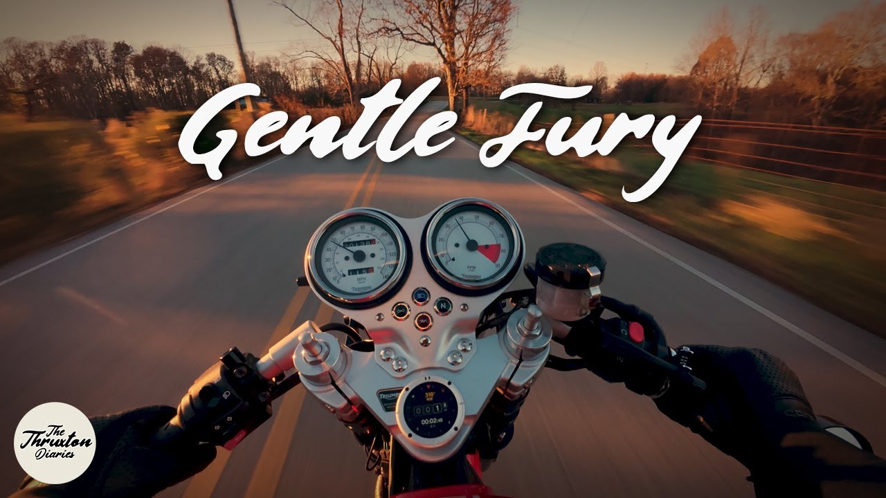 Backroad Escape in Tennessee | Triumph Thruxton 900 4K POV Ride | Motorcycle ASMR