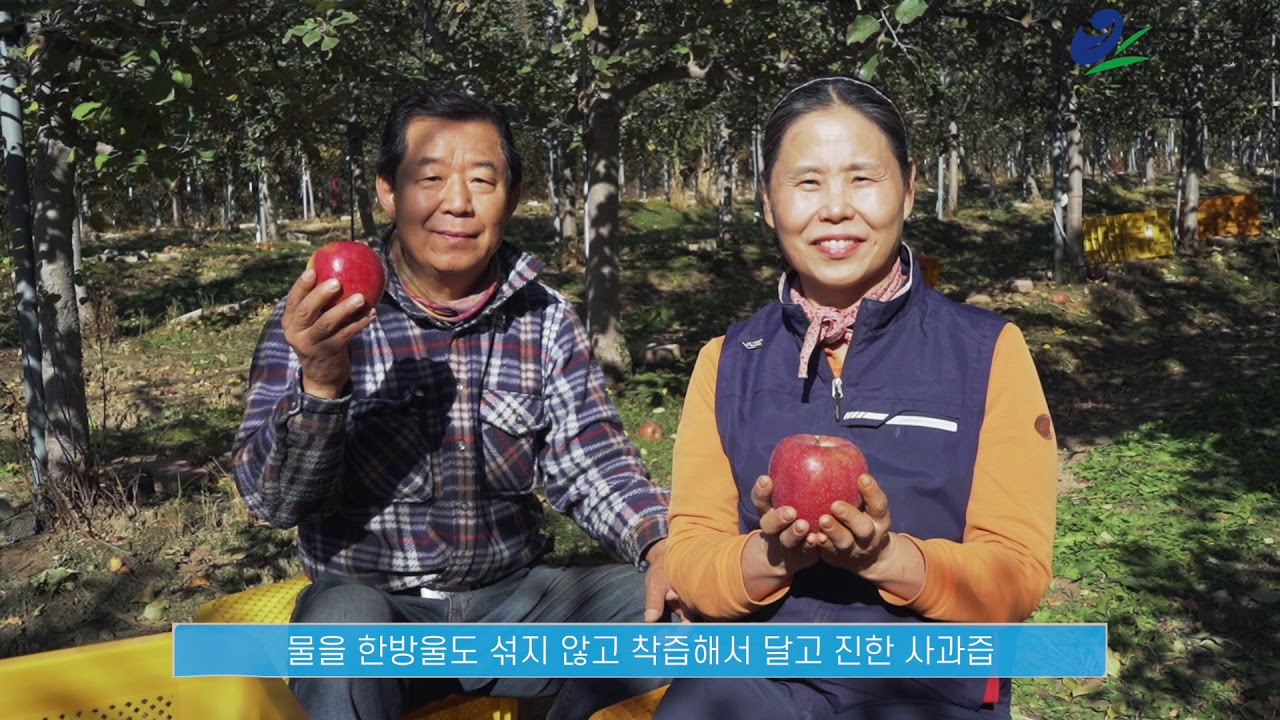 양구사과 홍보영상