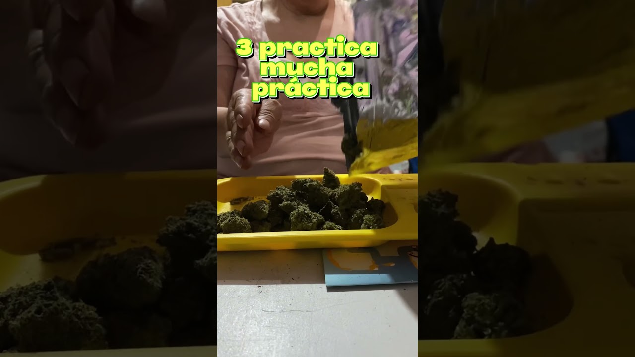 3 consejos para forjar c&oacute;mo los grandes por m&iacute; mam&aacute; jaja #420