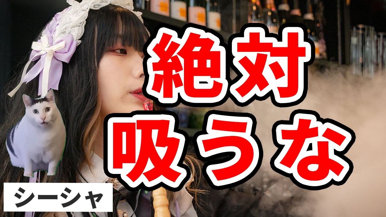 最近、急増してるシーシャバーに行ってはいけない理由