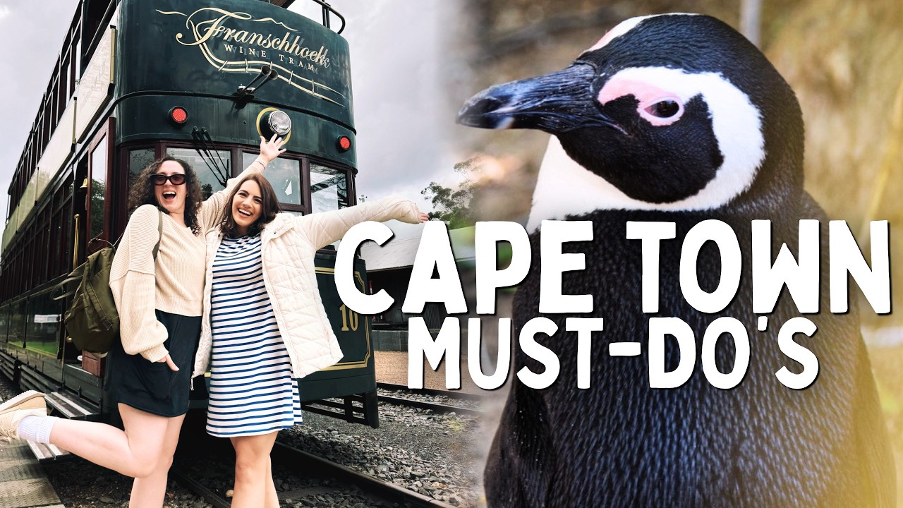 CAPE TOWN VLOG | Top 10 Must Do's in Cape Town South Africa (Part 2) | Penguins, Sharks, Wine & More