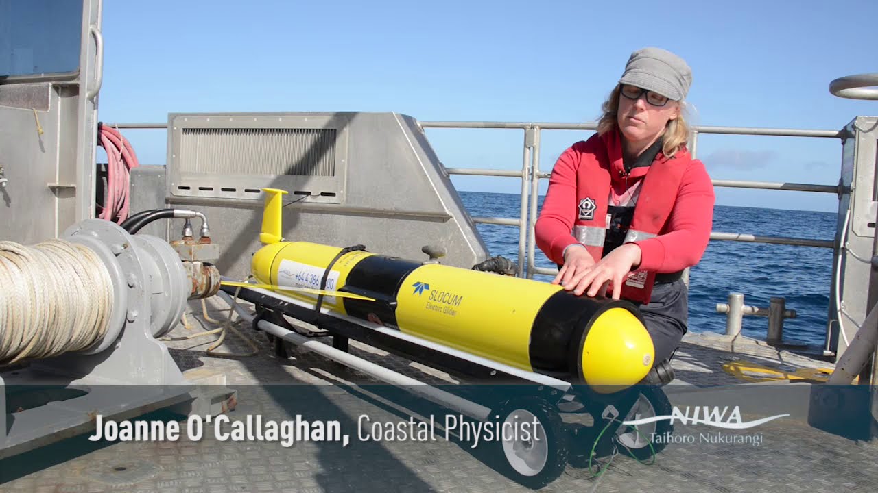 Ocean gliders