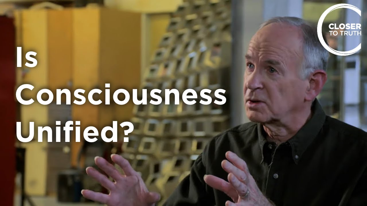 Russ Hurlburt - Is Consciousness Unified?