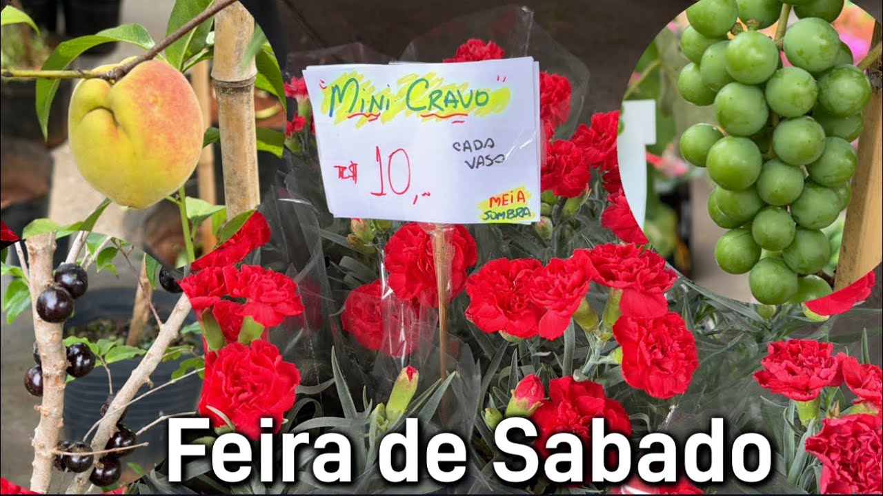 Feira das plantas - Frut&iacute;feras e folhagens