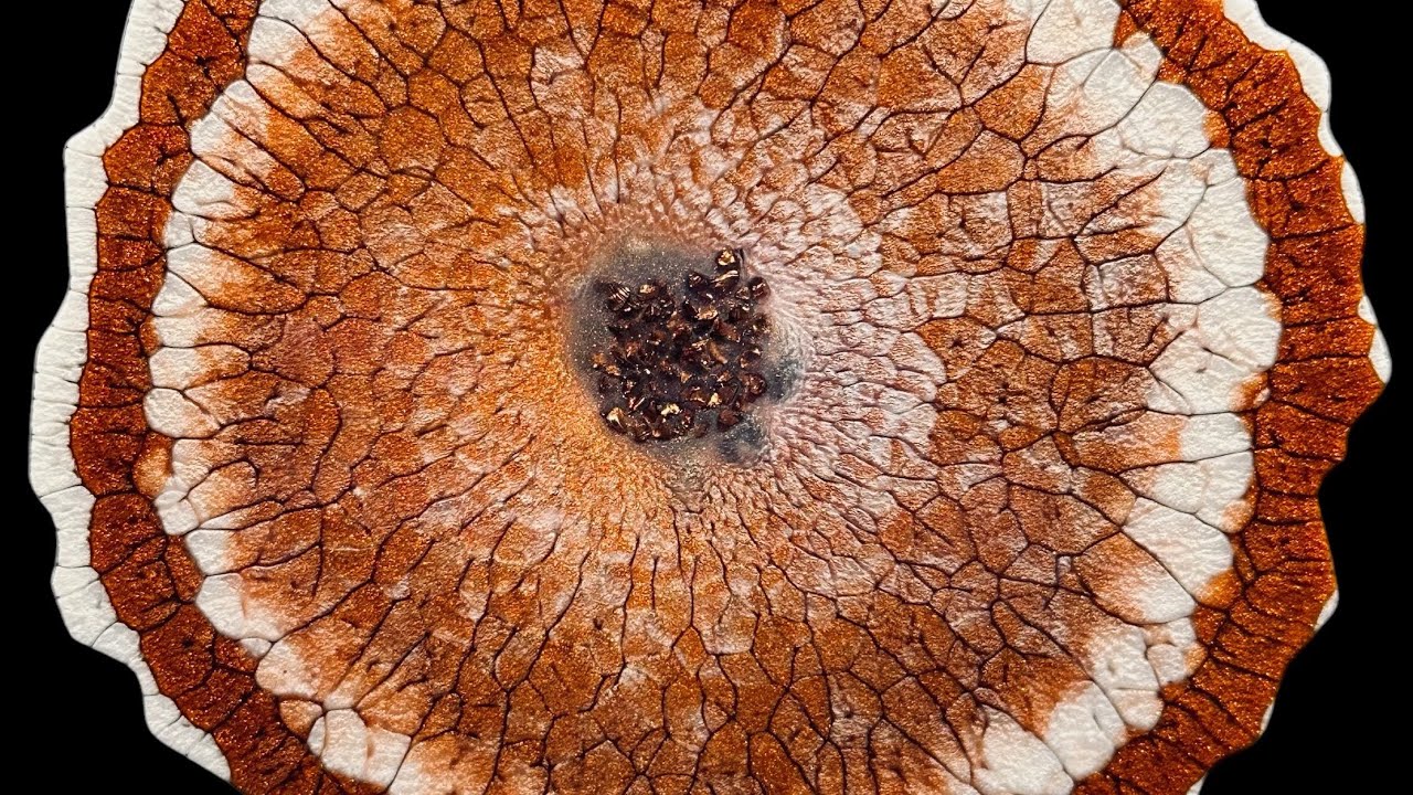 #25 Bronze Dragon Scale Effect Epoxy Resin Coasters