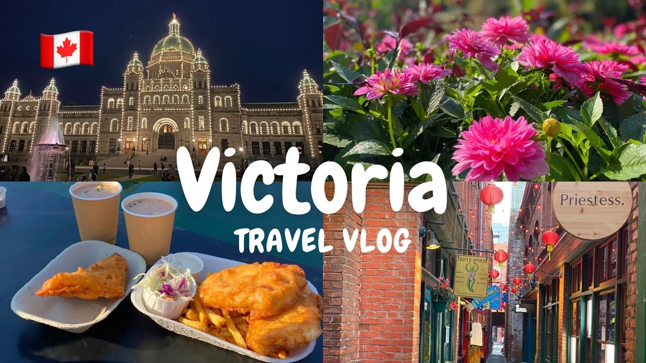 【vlog】カナダ・ビクトリア💐カナダで一番美しい花の都 | 港町をのんびり観光