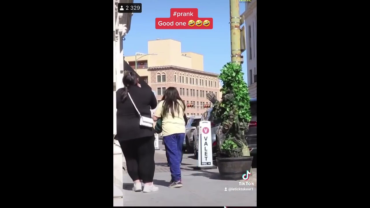 Flowerpot prank 🤣🤣🤣 Watch their reactions. Sooo funny! #tiktok #fy #fyp #prank #viral