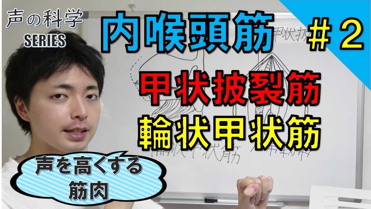 ②内喉頭筋～甲状披裂筋と輪状甲状筋～筋肉の場所と役割【声の科学シリーズ】