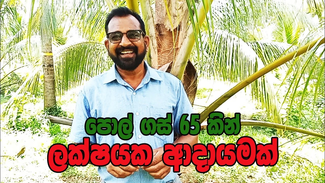 පොල් ගස් 65 කින් ලක්ෂයක ආදායමක් / @Agri View