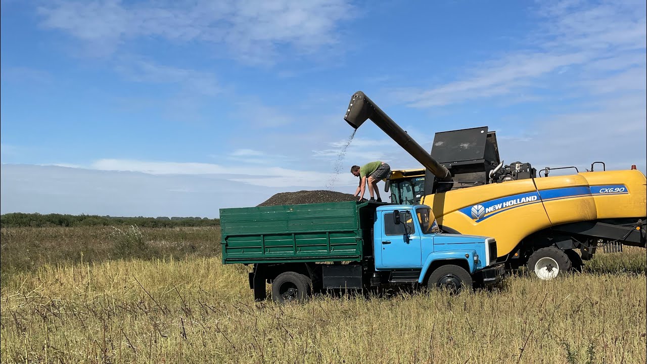 Бізнес в селі💷🚜Жнива соняшника🌻Купую Lexus…🚗