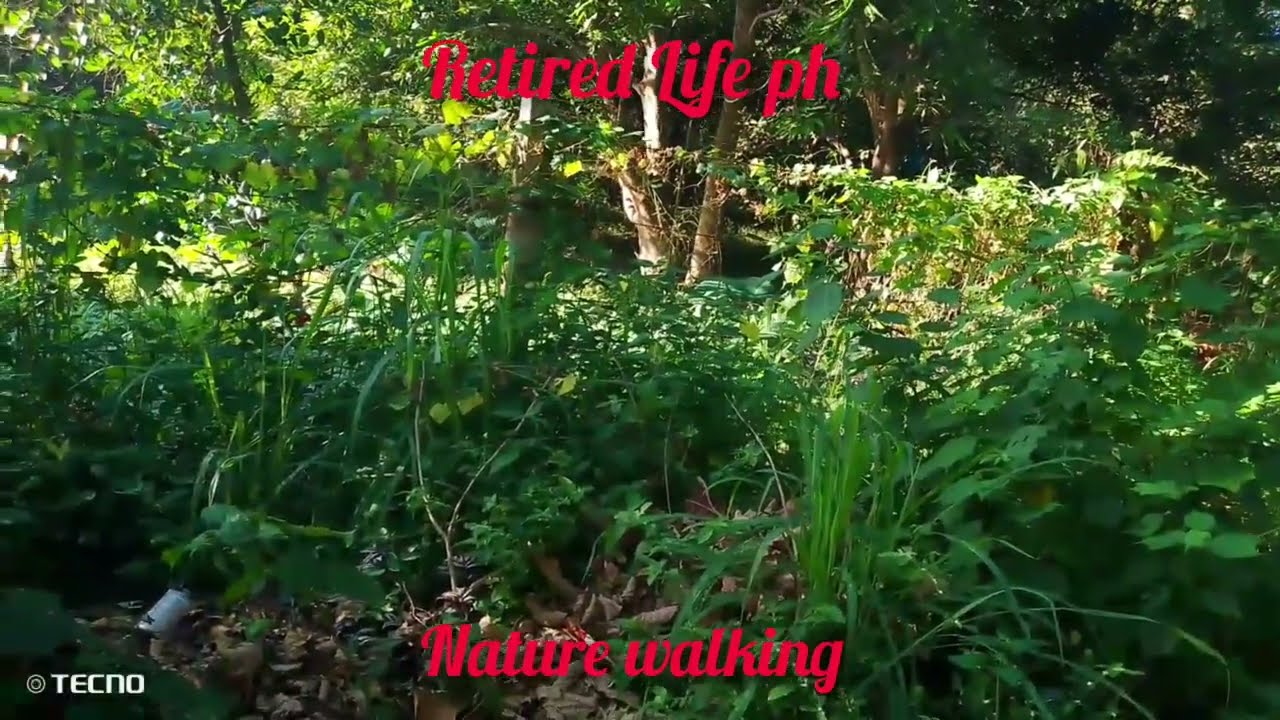 Nature walking ❤️