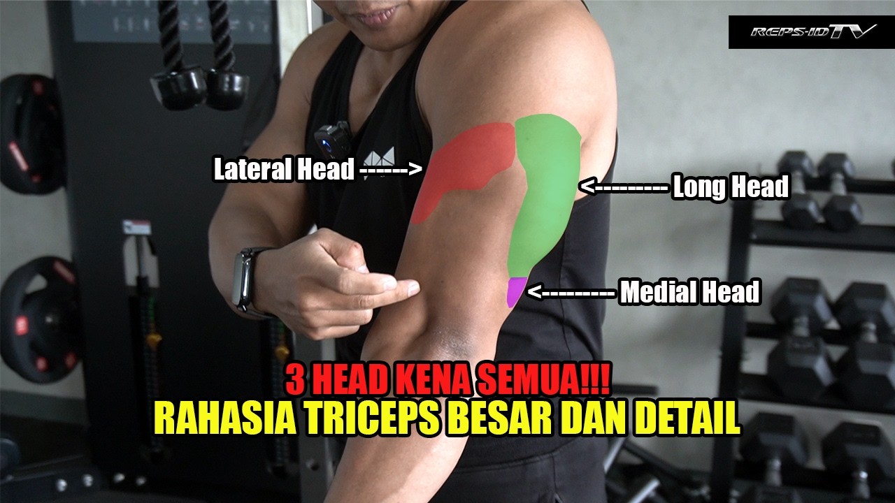 Tricep Kamu Nggak Tumbuh? Mungkin Kamu Belum Coba Latihan Ini