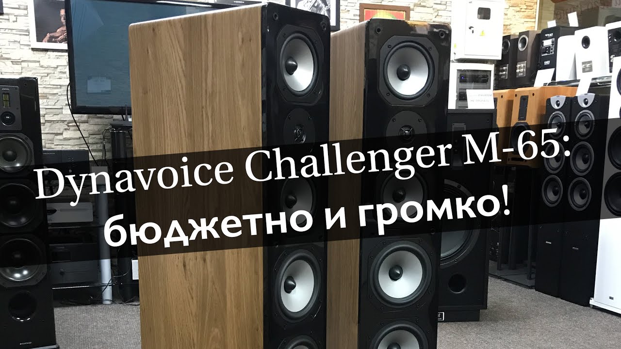 Dynavoice Challenger M-65 - обзор!