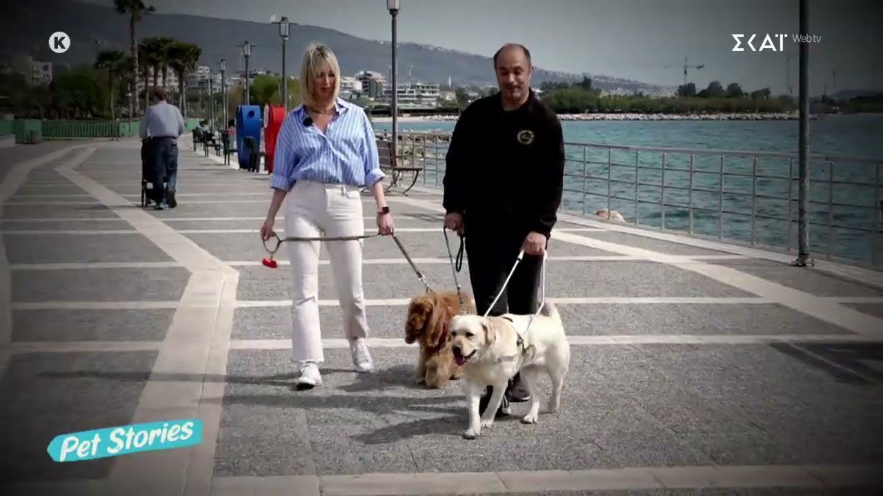 Πως οι σκύλοι οδηγοί βοηθούν τους ανθρώπους με προβλήματα όρασης | Pet Stories | 25/05/2025