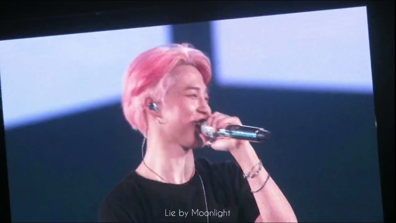 190113 BTS LYS Tour in Nagoya Day2 벚꽃 지민 JIMIN Last Ment