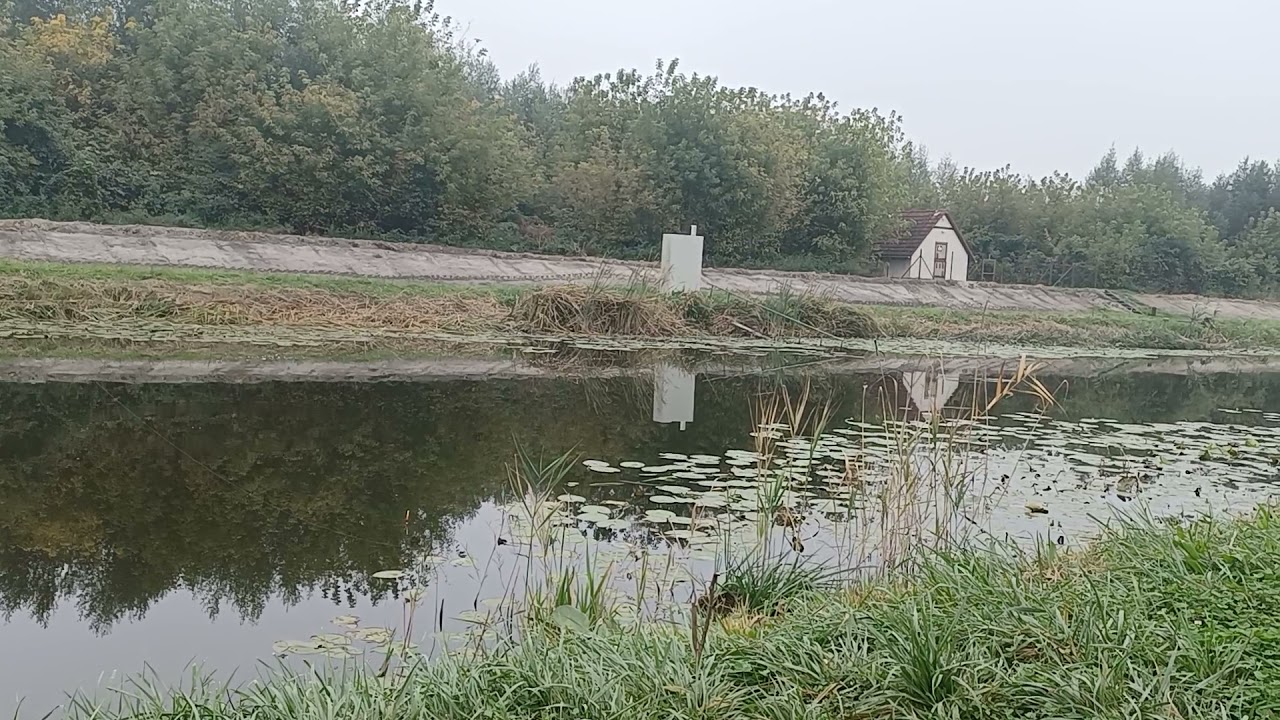 Horgászat a Nyugati-övcsatornán.