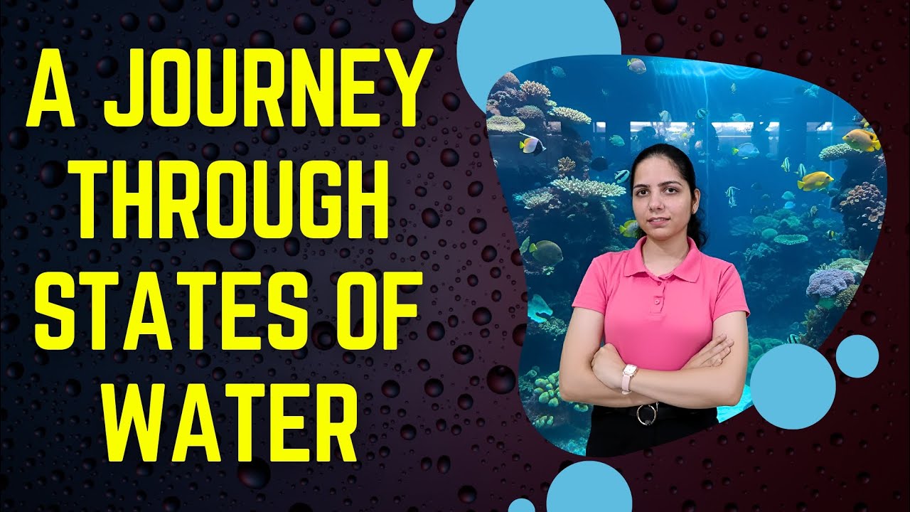 A Journey Through States of Water | Class 6 Science Chapter 8 | One-Shot | NCERT Curiosity
