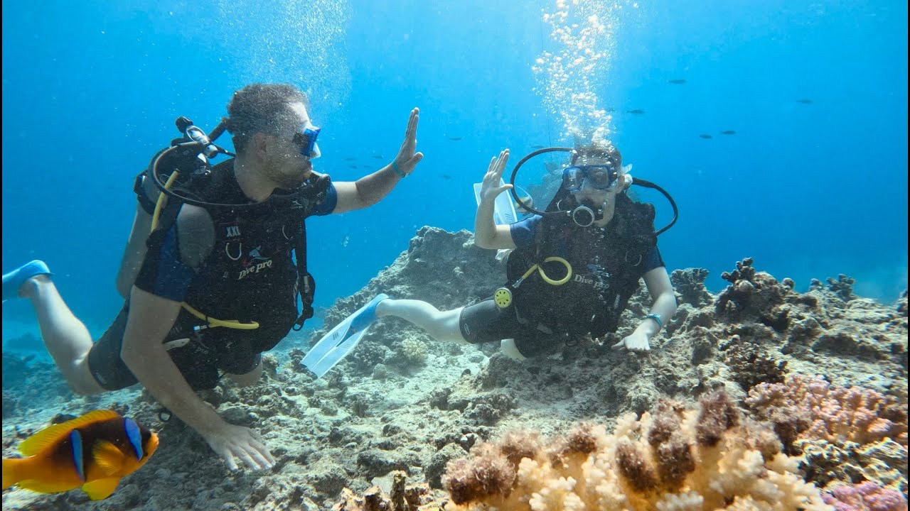 Mısır Macerası (Sharm El Sheikh ve Kahire)🌴🔺🐪