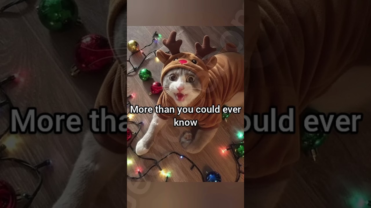 #christmas