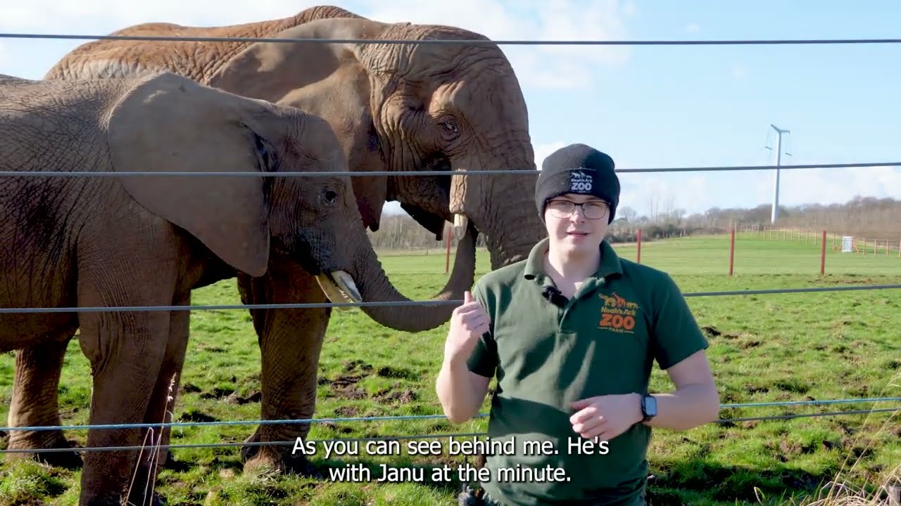 🐘 10 years of Elephant Eden! 🐘