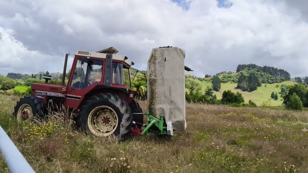 Haymaking 2025