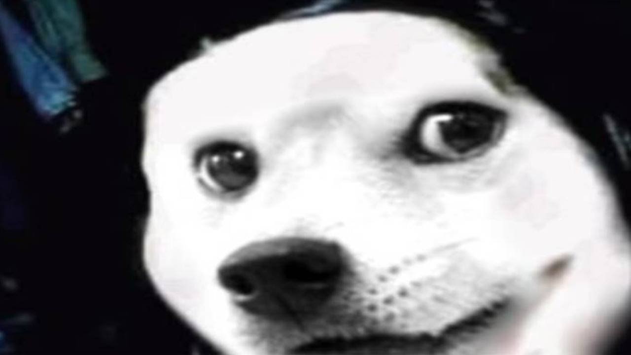 (free) midwest emo / pop punk instrumental - 