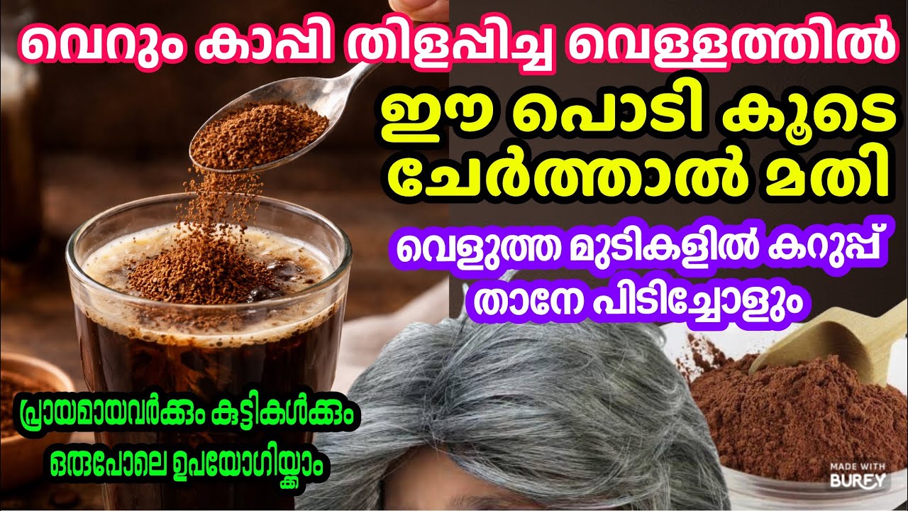 ഏത് പ്രായക്കാർക്കും ഒരുപോലെ വെളുത്ത മുടികൾ കറുപ്പിയ്ക്കാം| Easy natural hair dye