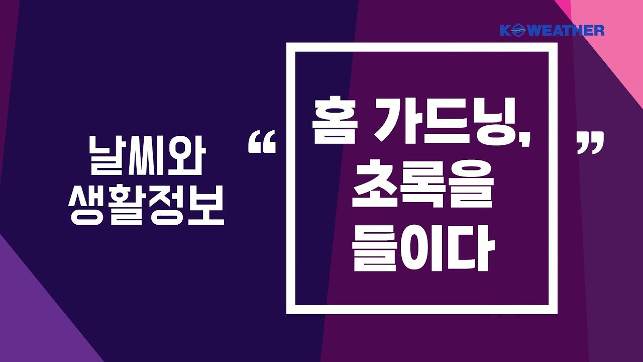 [날씨]  홈 가드닝, 초록을 들이다/2025.06.17.KWEATHER