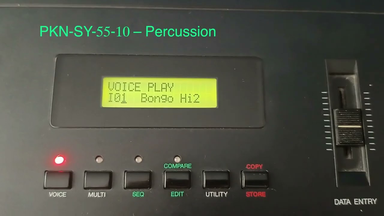Yamaha SY-55 "RY-30 Upgrade' - House & Percussion (Audio Demo)