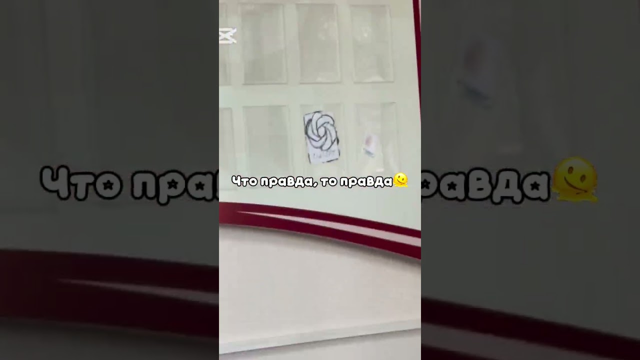 Гордость школы 