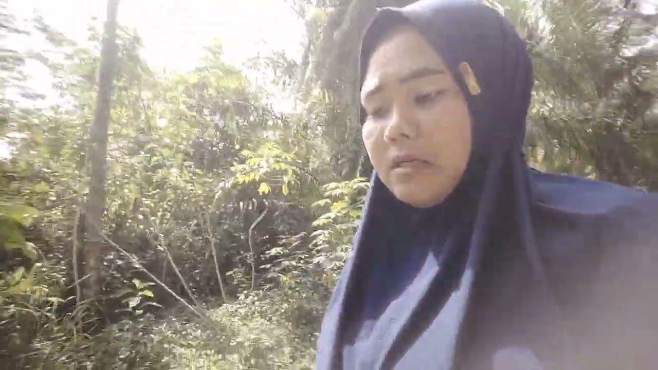 Mau cari jamur dapat ini