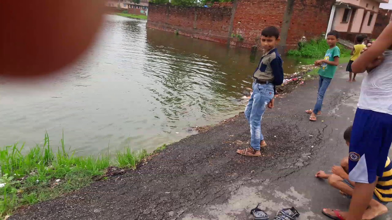 Sikaria kala