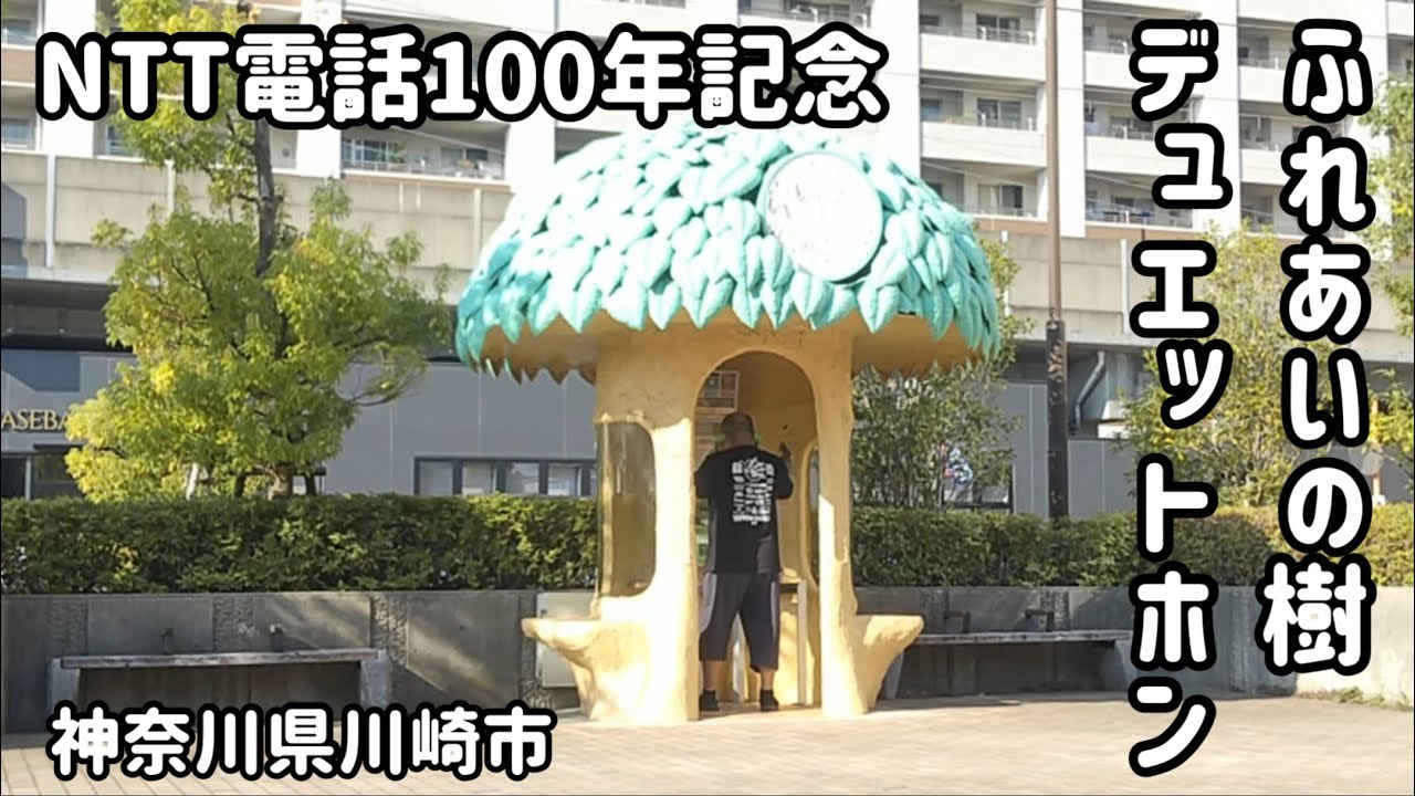 神奈川県川崎市　ふれあいの樹【デュエットホン】【NTT電話100年記念】