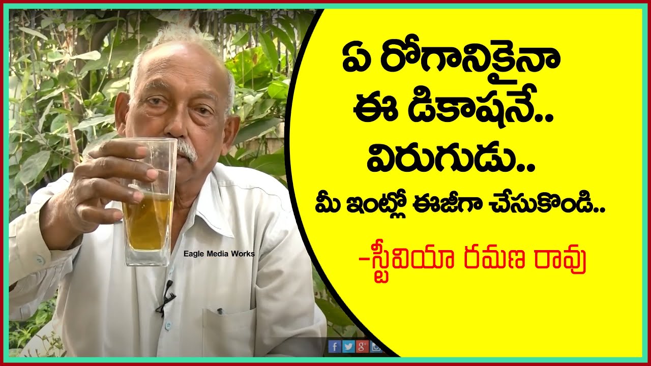 ఏ రోగనికైనా ఈ స్టెవియా డికాషన్ విరుగుడు | Stevia Decoction | Eagle Media Works